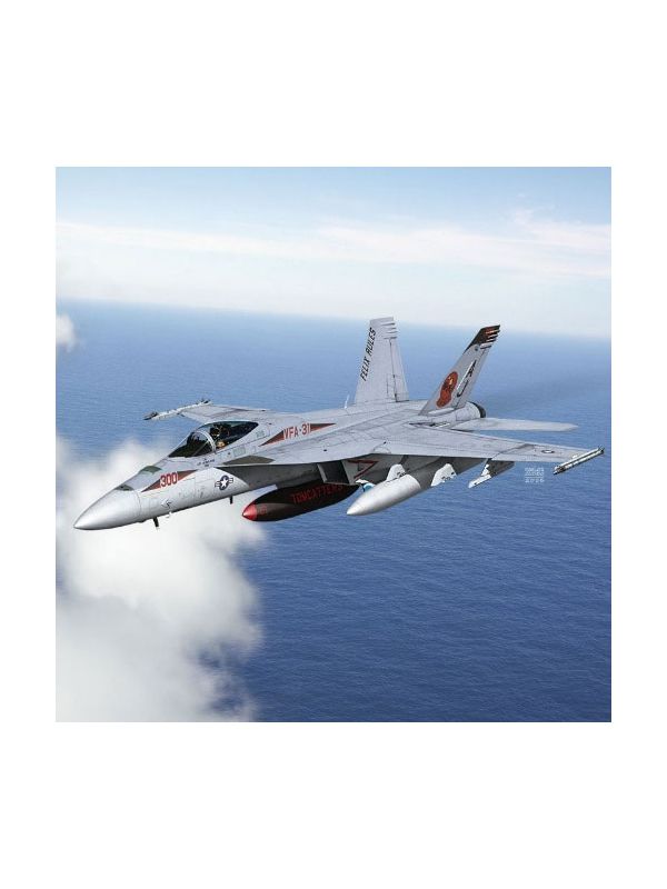 Academy 12595 F/A-18E Super Hornet VFA-31 'Tomcatters' 1/72 Scale Model Kit