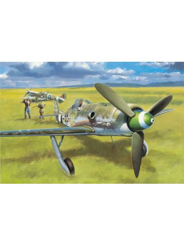 HobbyBoss 81721 Focke-Wulf Fw190D-13 1/48 Scale Plastic Model Kit
