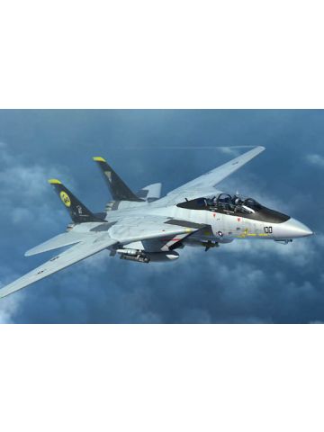 Trumpeter 3919 Grumman F-14D Tomcat 1/144 Scale Plastic Model Kit