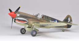 Eduard P-40E Royal Class 1/48 Scale Limited Edition Model Kit
