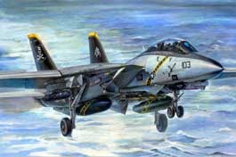 Trumpeter Grumman F-14B Tomcat Big Scale Plastic Model Kit